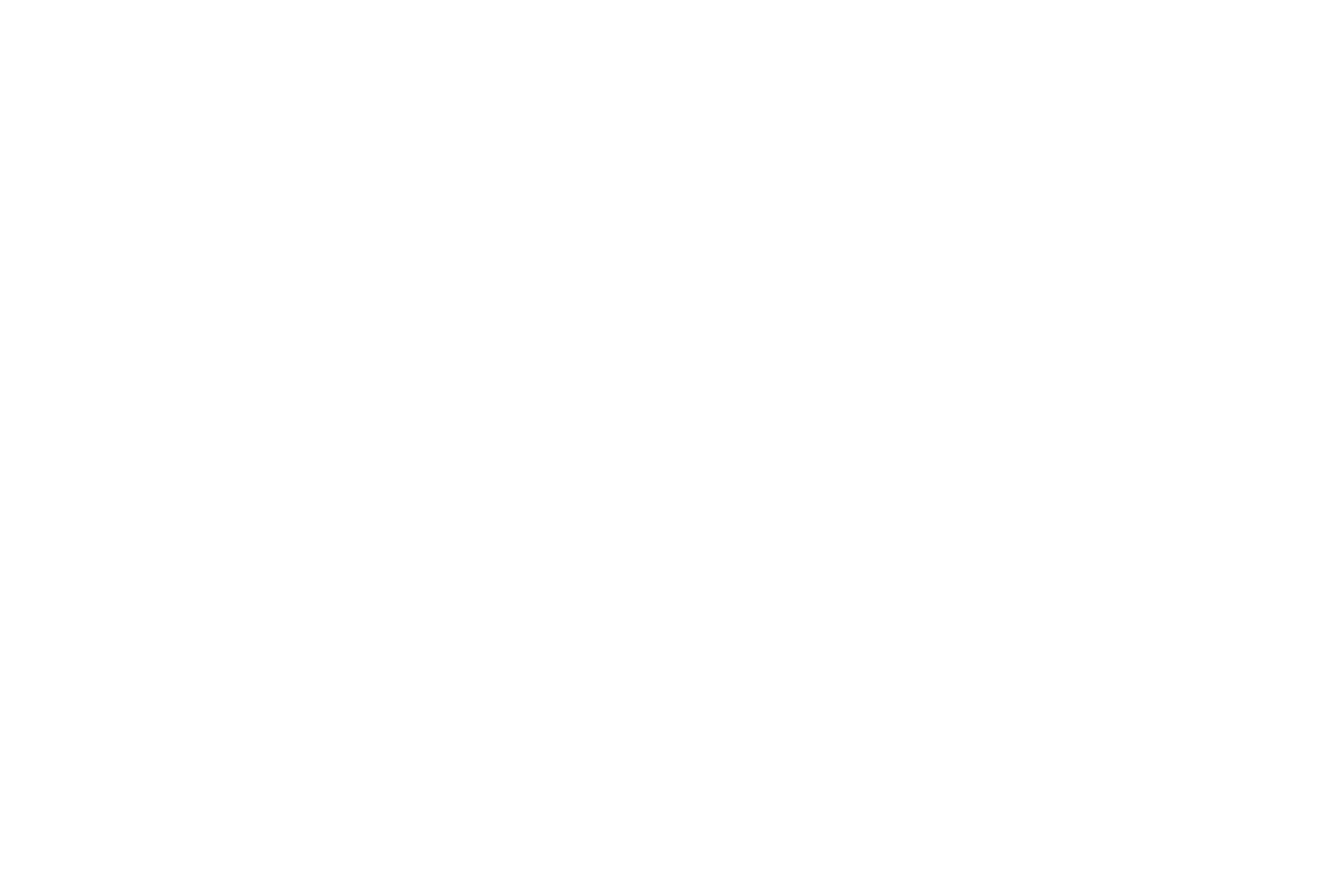 BSS Clever Logistics